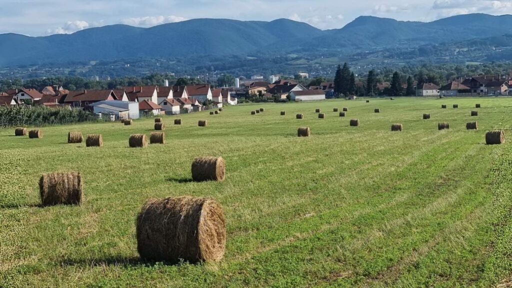 balkan-agro-consult-o-nama-4