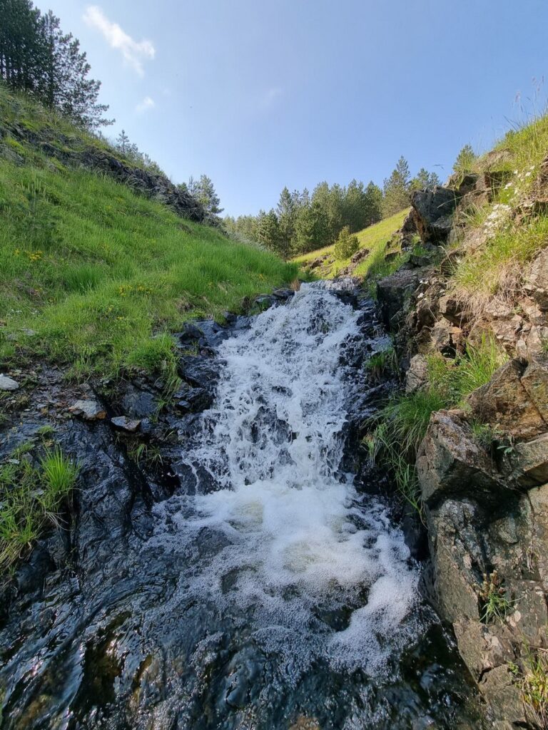 balkan-agro-consult-o-nama-5