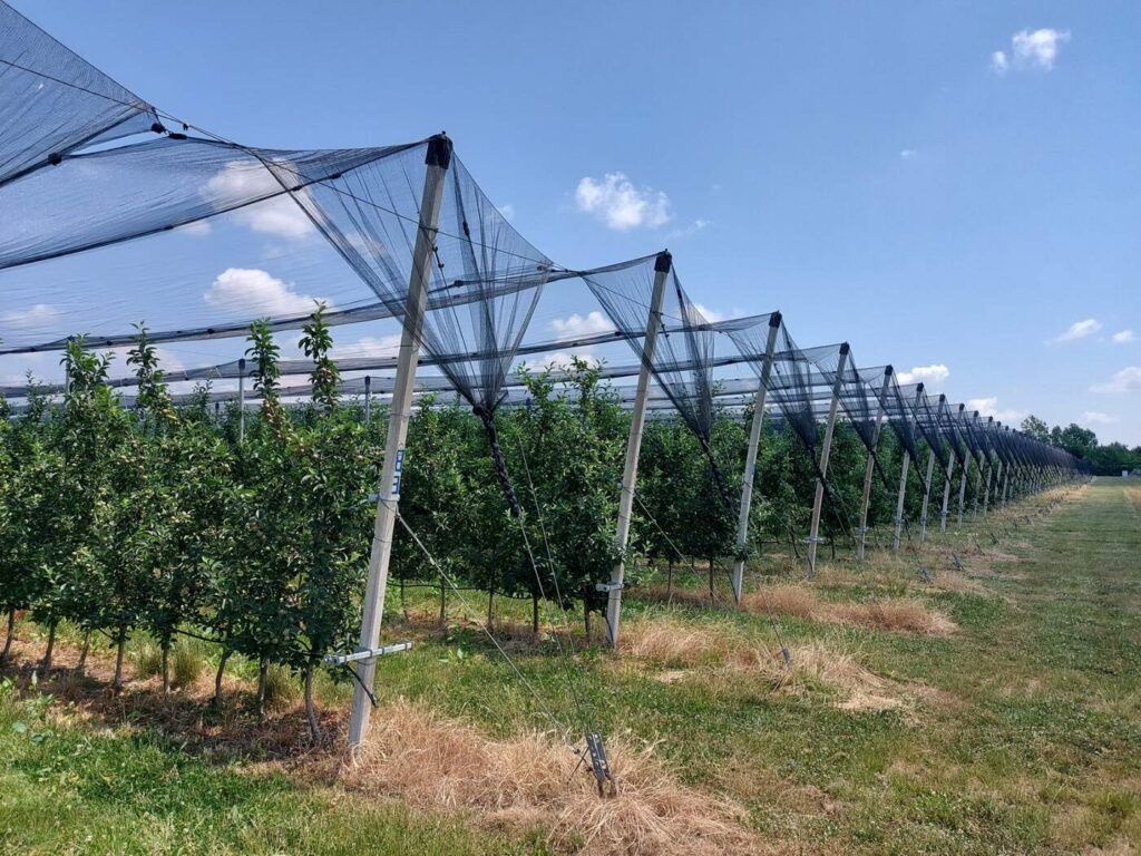 balkan-agro-consult-services-3